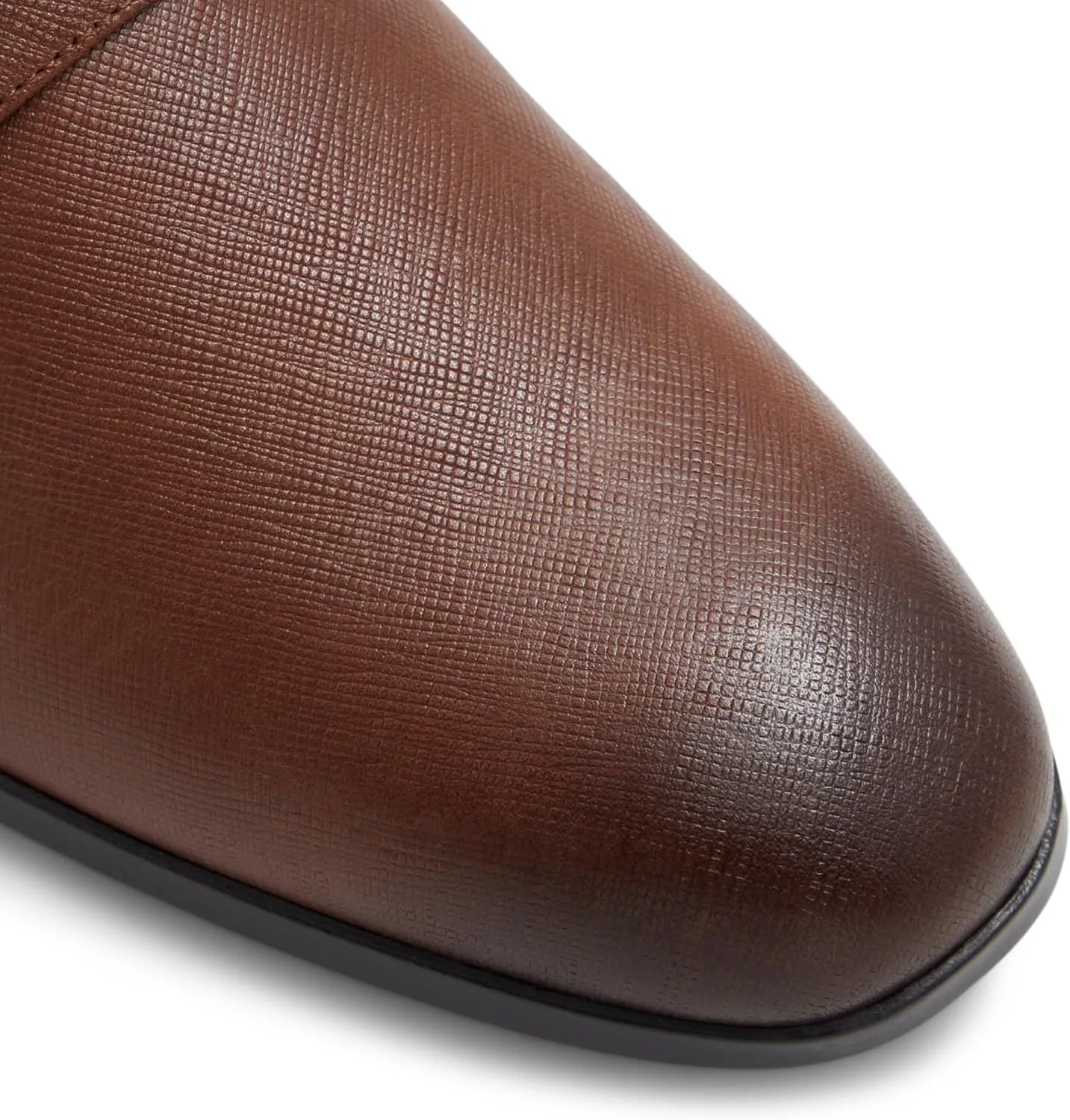 ALDO Men's Benedetto Monk-Strap Loafer
