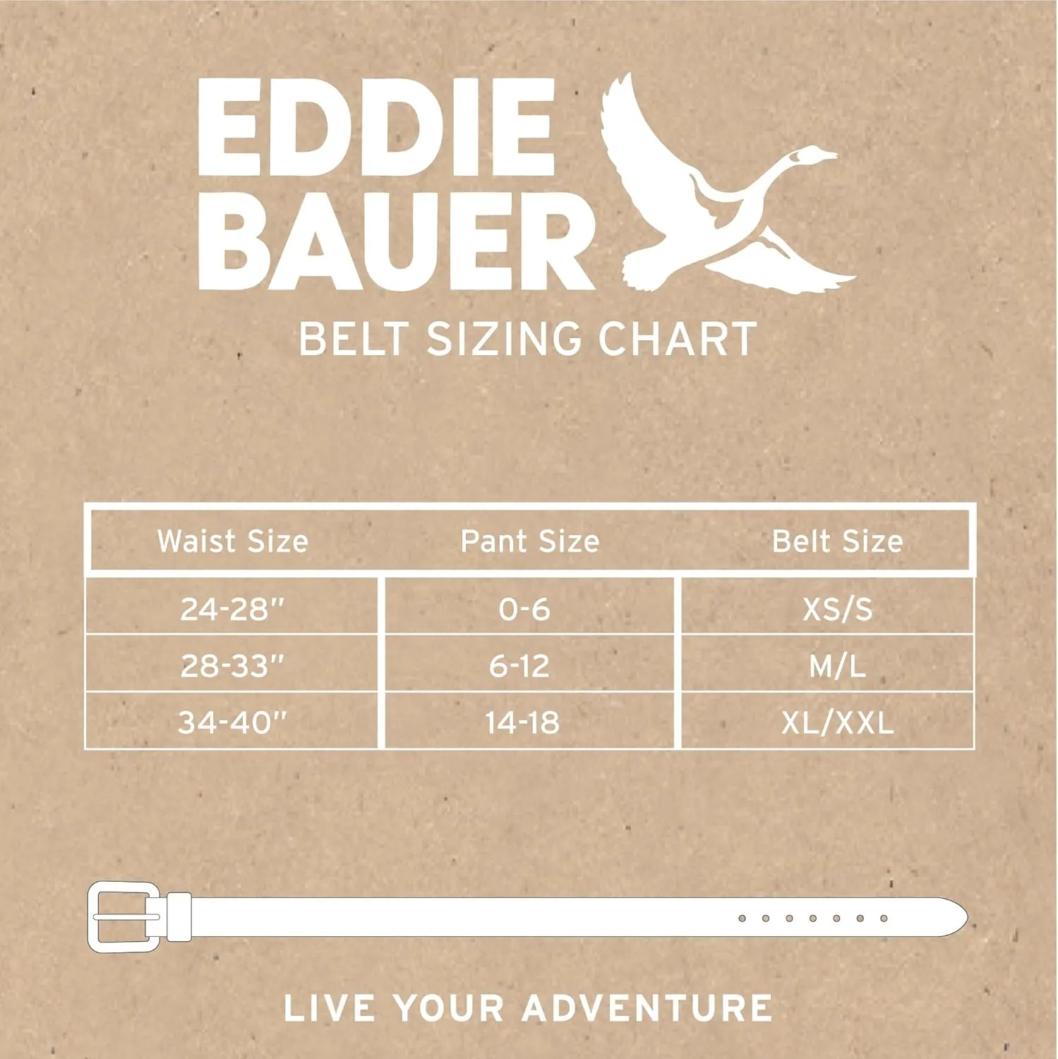 Eddie Bauer Women's Cascade Webbing Belt with Slide Buckle