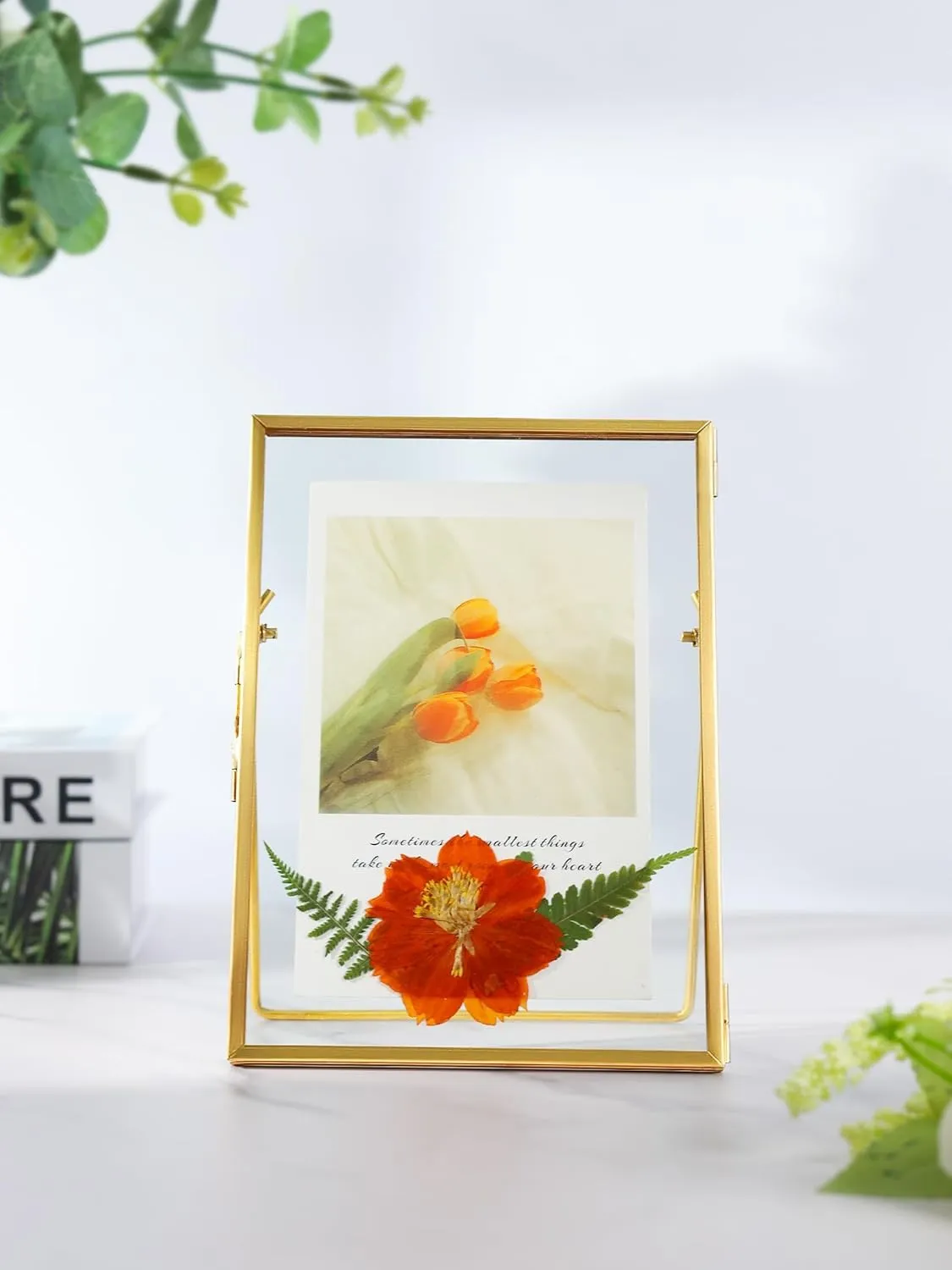 Glass Pressed Flower Frame Handmade, Floating Picture Frames for Pressed Flowers, Tabletop Artwork Photo Frames, Brass Desk Picture Frame for Home Office Plant Specimen, Gold, 6x8 Inches