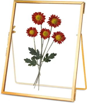 Glass Pressed Flower Frame Handmade, Floating Picture Frames for Pressed Flowers, Tabletop Artwork Photo Frames, Brass Desk Picture Frame for Home Office Plant Specimen, Gold, 6x8 Inches
