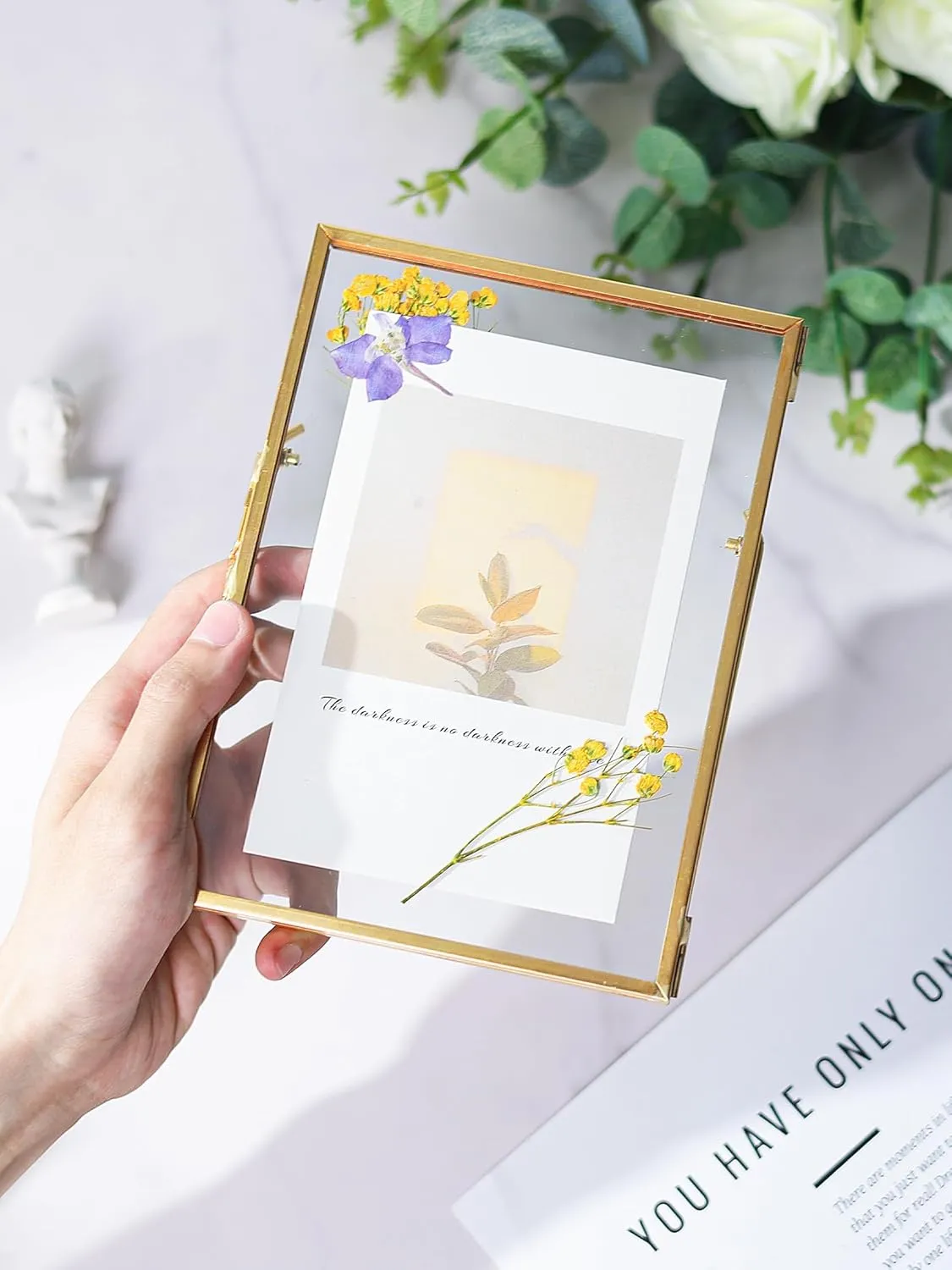 Glass Pressed Flower Frame Handmade, Floating Picture Frames for Pressed Flowers, Tabletop Artwork Photo Frames, Brass Desk Picture Frame for Home Office Plant Specimen, Gold, 6x8 Inches