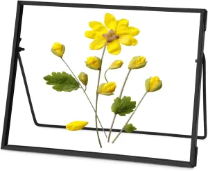Glass Pressed Flower Frame Handmade, Glass Floating Picture Frames Tabletop Brass Photo Frame for DIY Dried Flowers Home Plant Specimen, Rectangle Horizontal 6×8 inches,Black (FRAME ONLY)