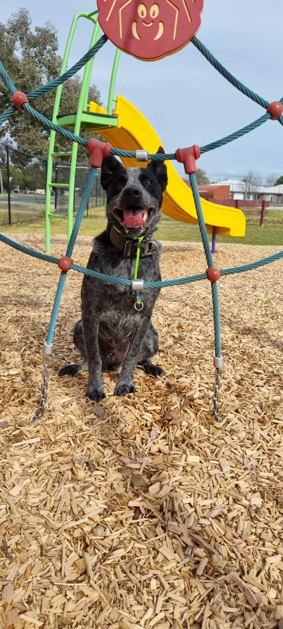Soft Rope Slip Collar